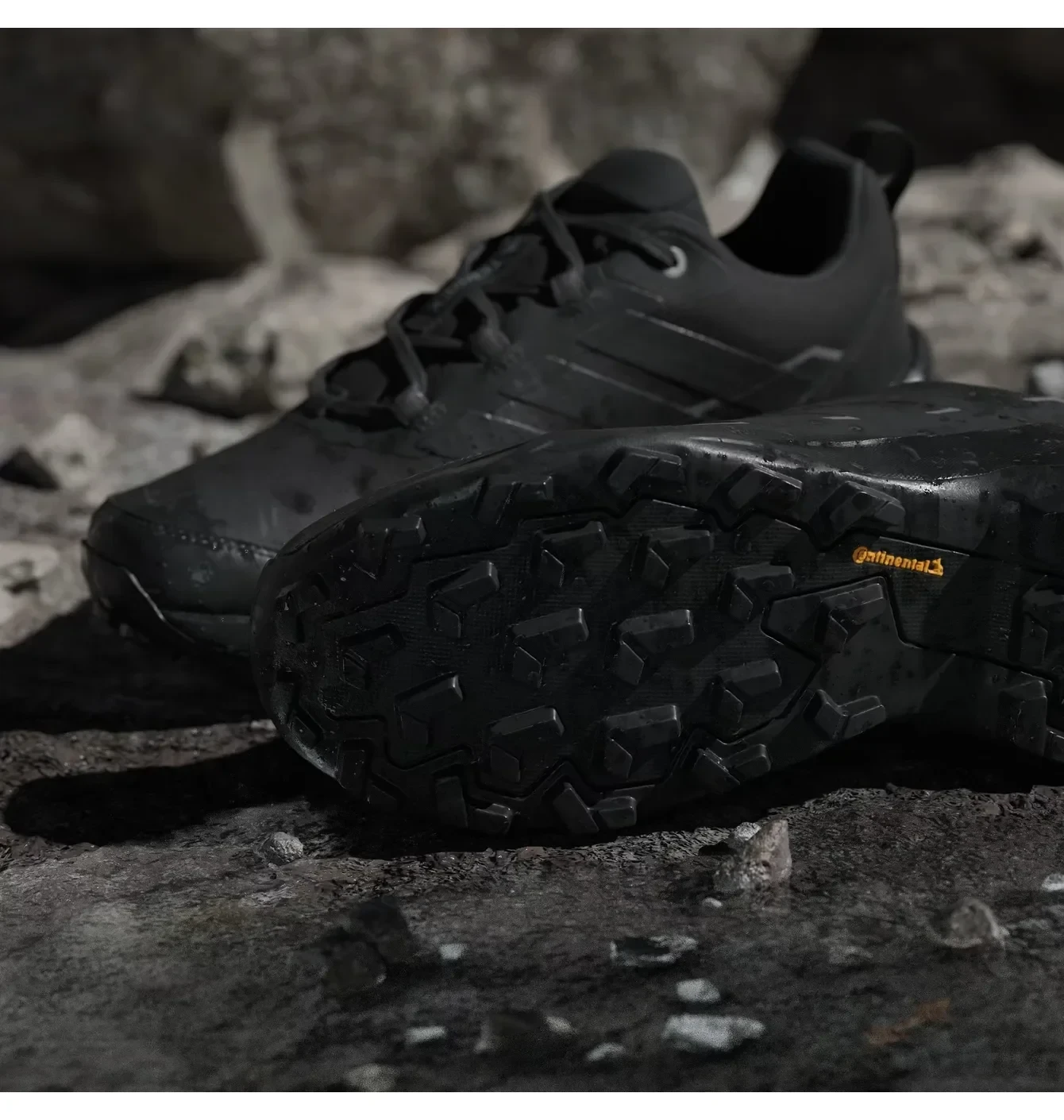 Кросівки чоловічі Adidas Terrex Skychaser AX5 Gore-Tex Black 2