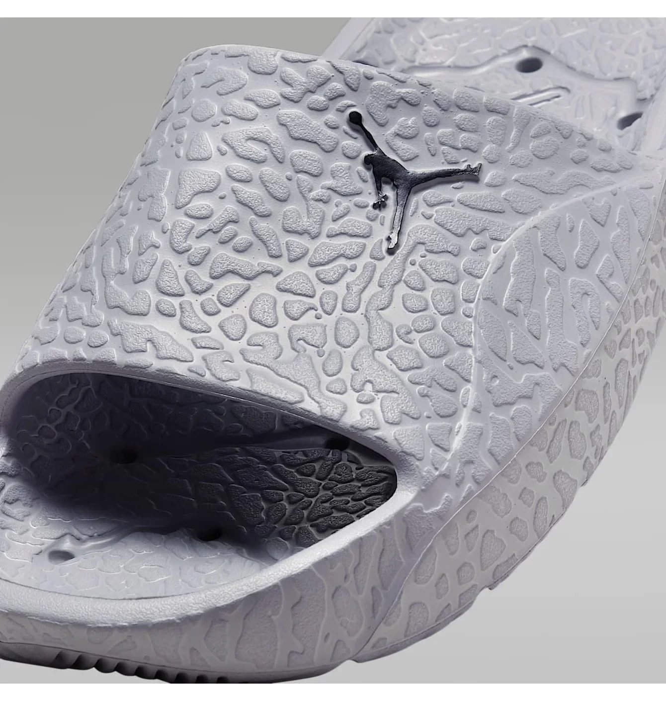 Шльопанці чоловічі Air Jordan Franchise Grey 5